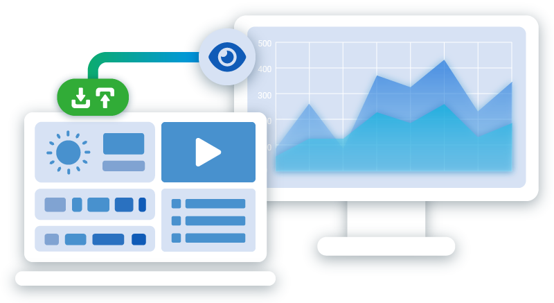 Network Traffic Manager